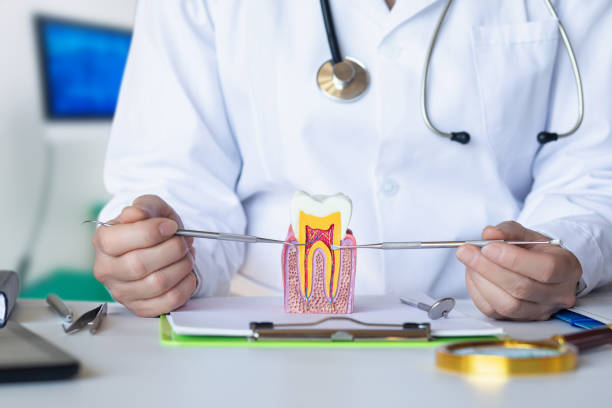 Best Emergency Dental Services for Seniors in Rio Hondo, TX